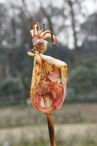 1447926465575846.jpg 2.jpg